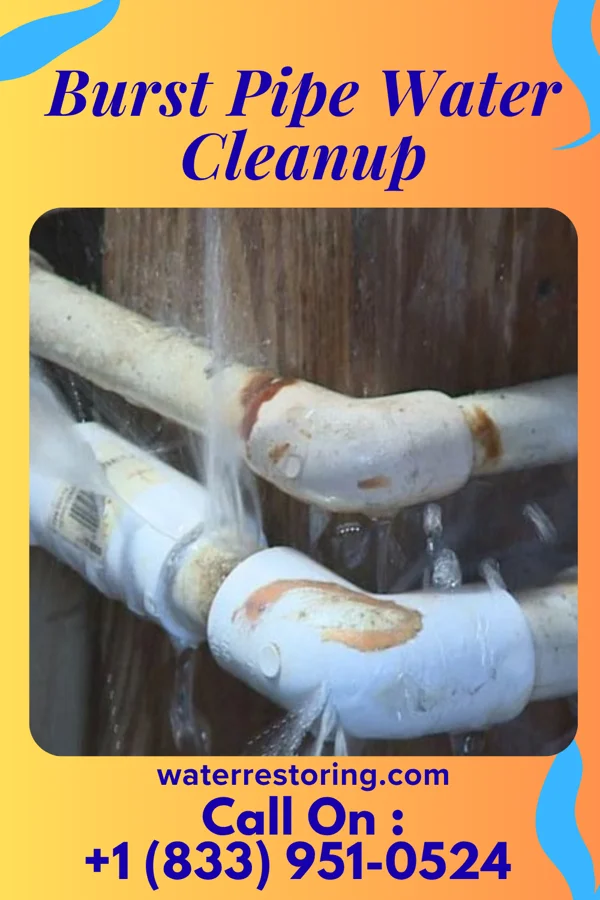 Burst Pipe Water Cleanup in New Market, MD