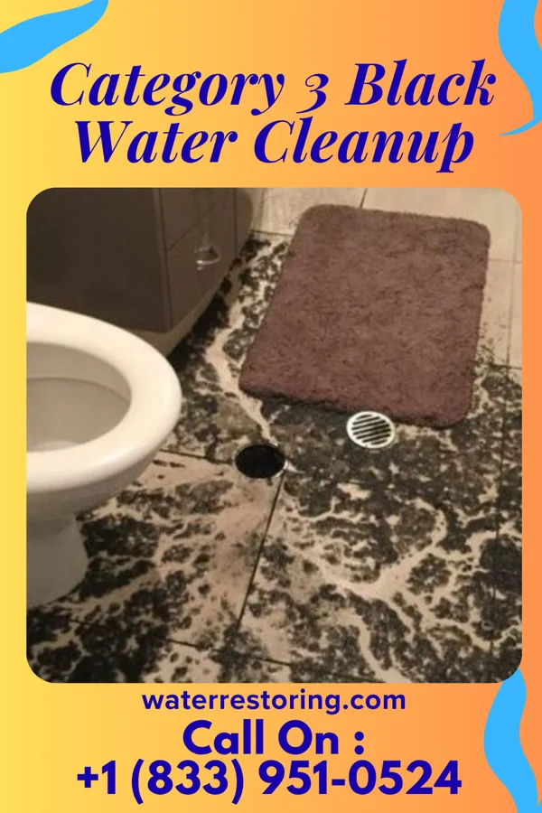 Category 3 Black Water Cleanup in New Market, MD