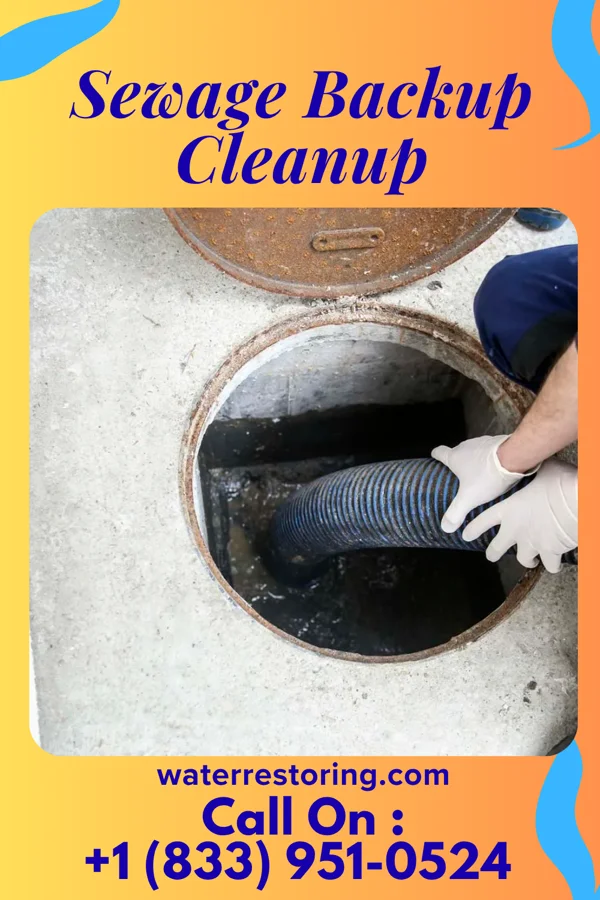 Sewage Backup Cleanup in New Market, MD