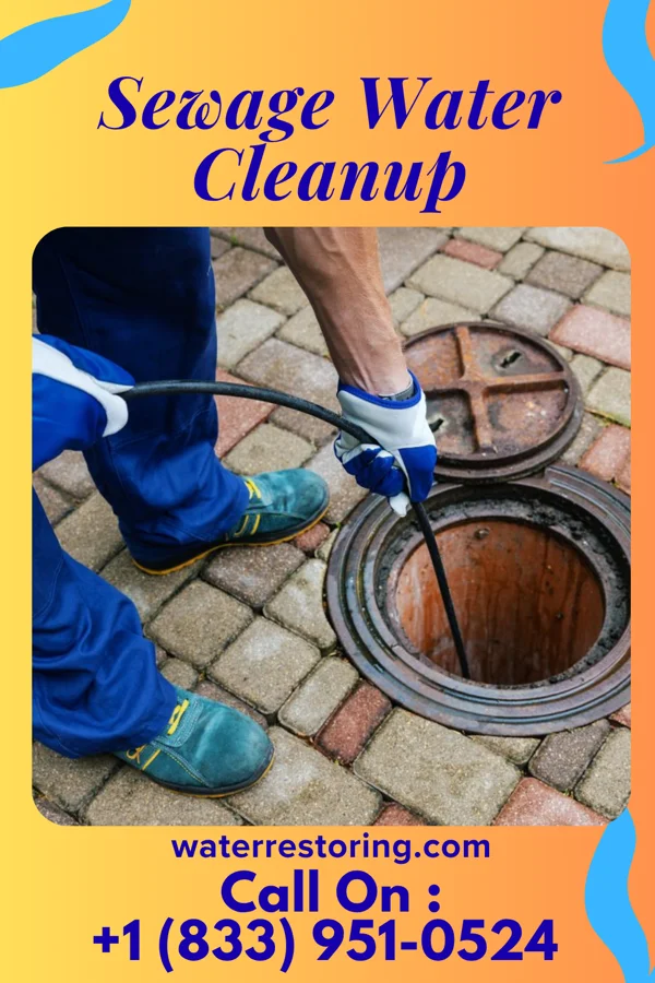 Sewage Water Cleanup in New Market, MD